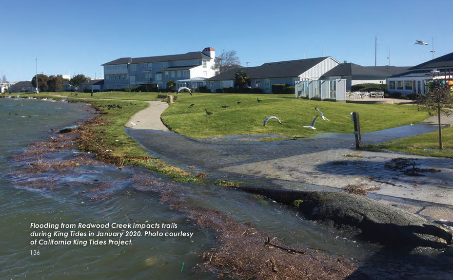redwood water sports back yard flooded